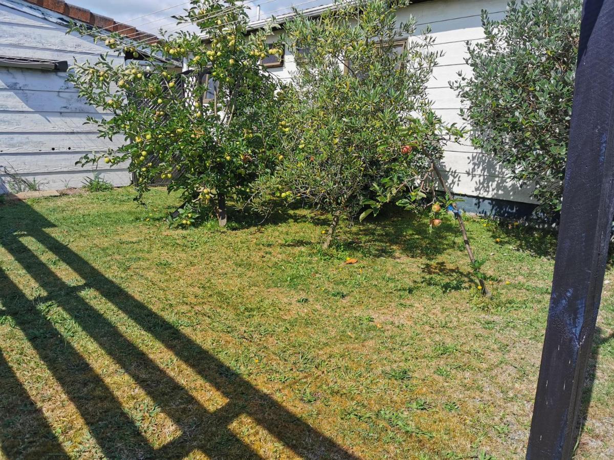 Gibson Court Motel Rotorua Exteriör bild